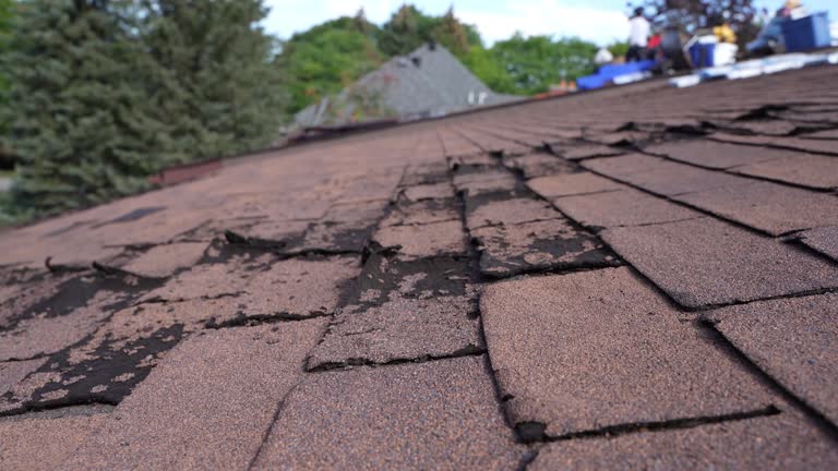 Best Metal Roofing Installation  in Orcutt, CA